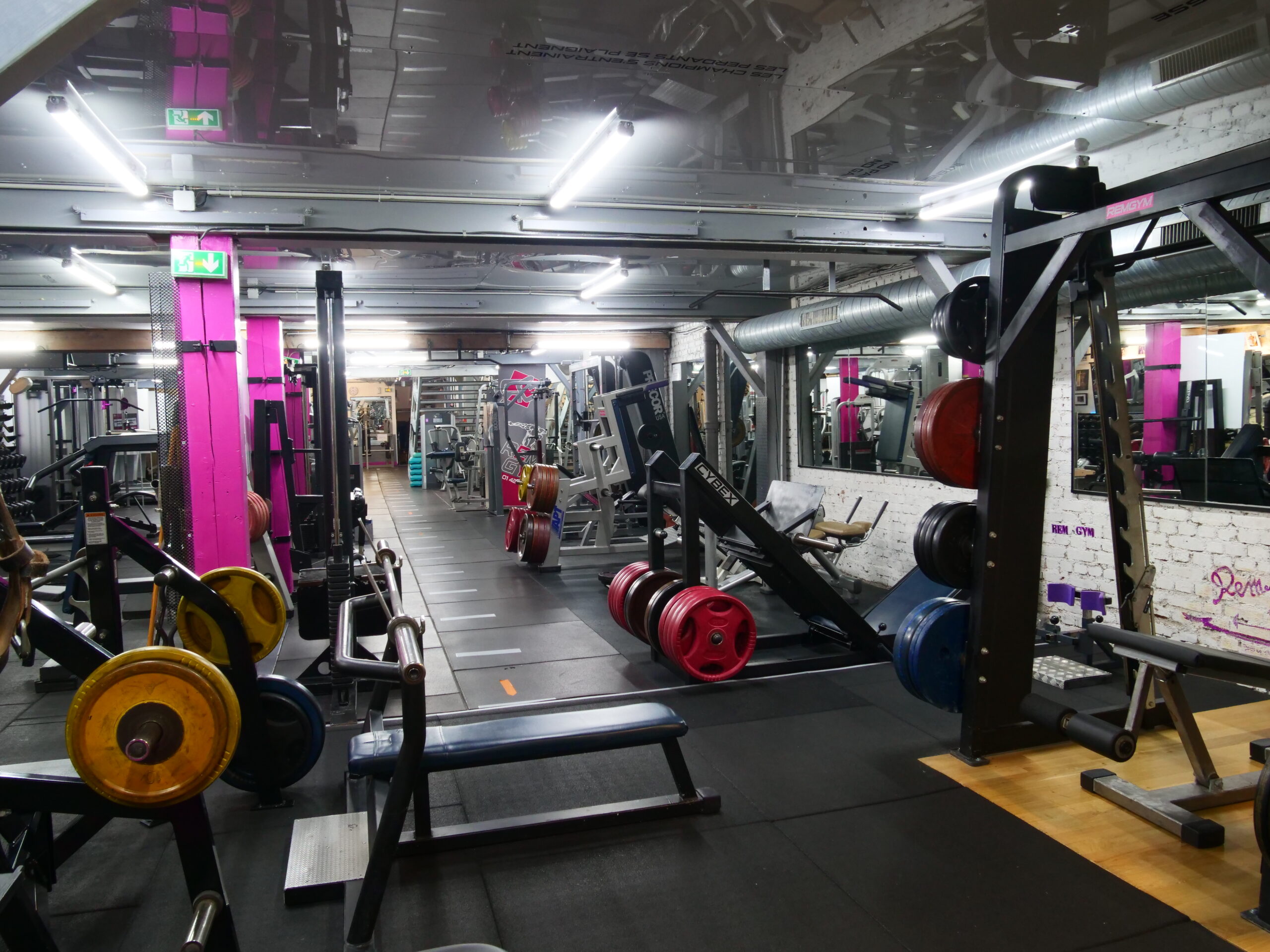 Hip Thrust Belt Squat Rem-Gym